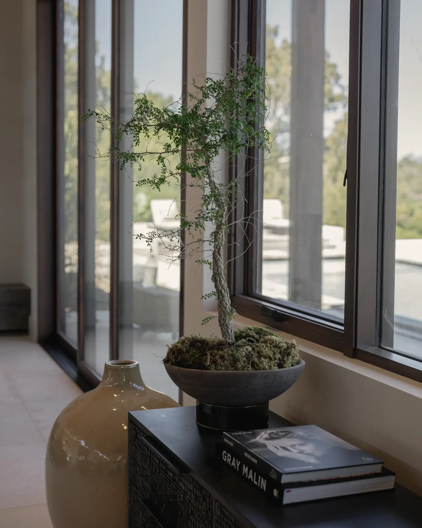 A small tree in a moss bowl by floor-to-ceiling windows