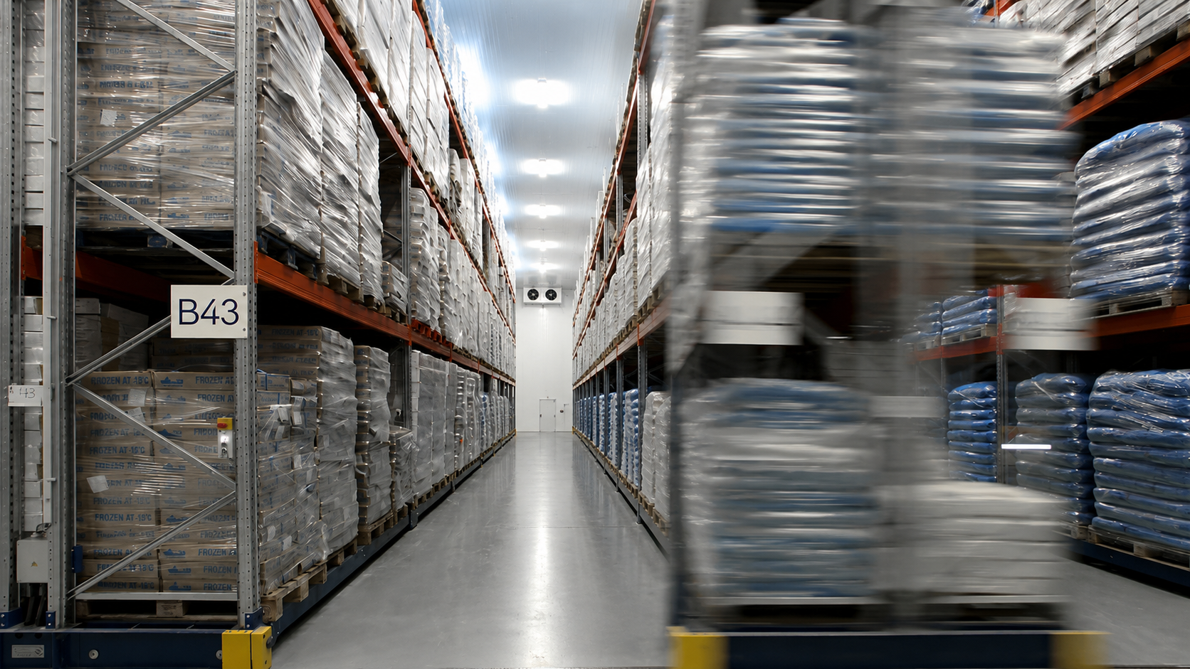 Modern temperature-controlled warehouse with storage racks and pallets