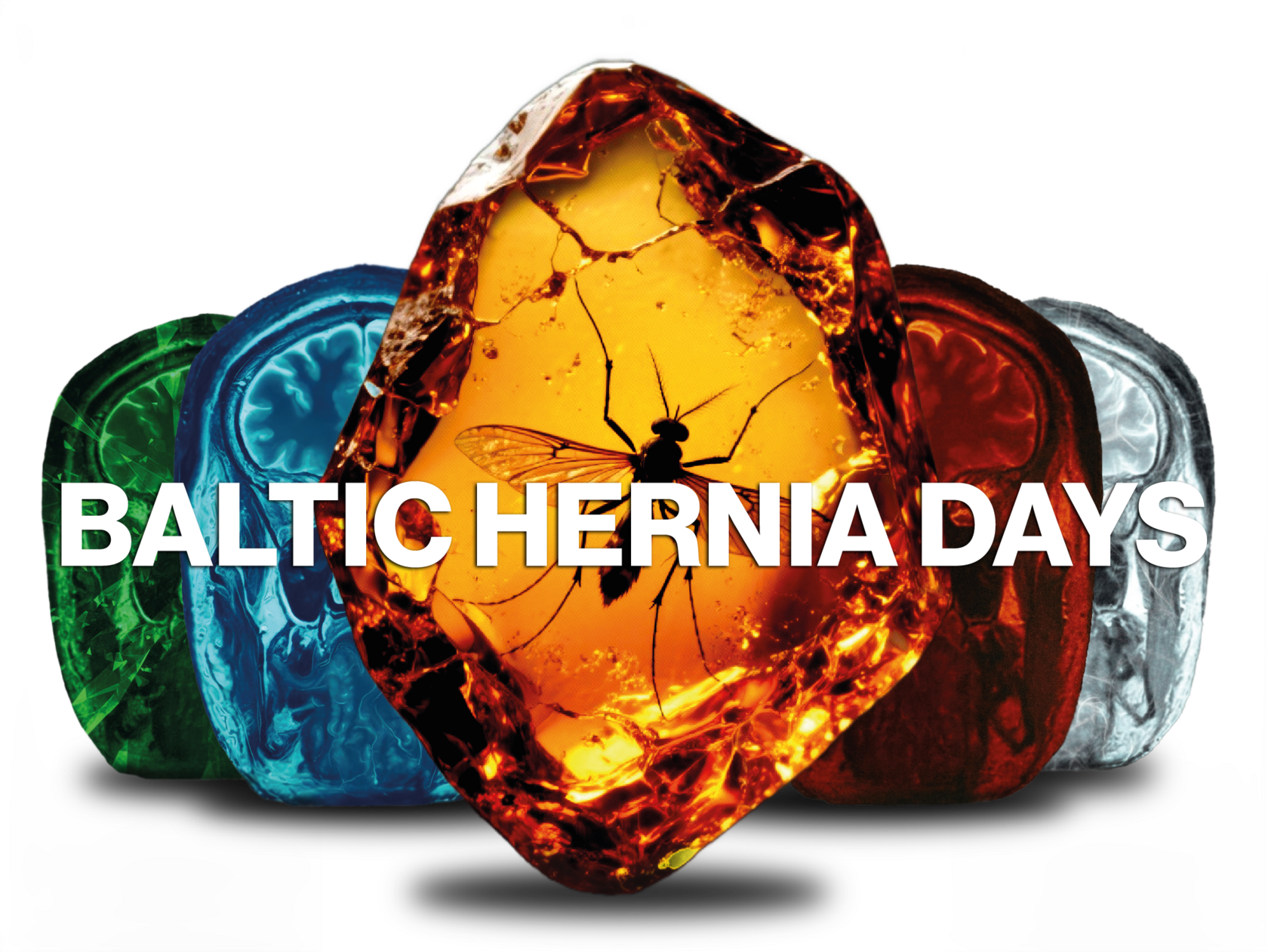  BALTIC HERNIA DAYS 2026 