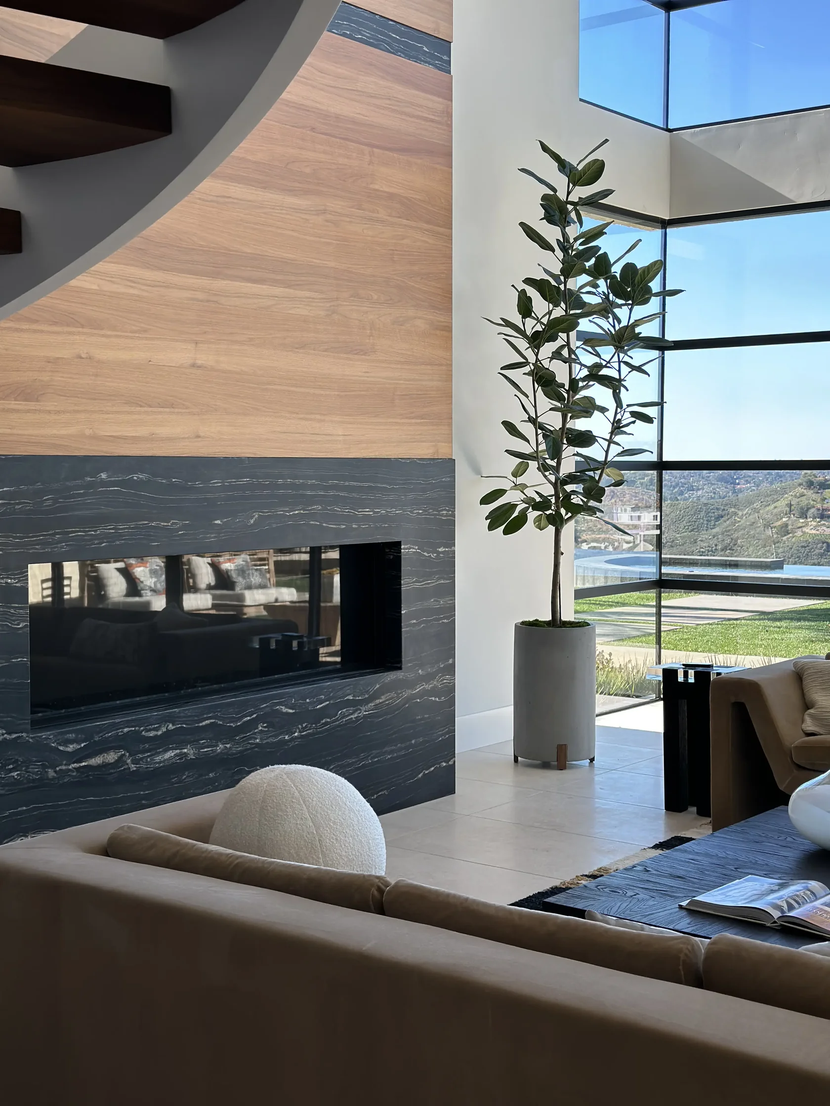 Tall rubber plant in a concrete planter beside a floating fireplace in a staged glass-walled living room