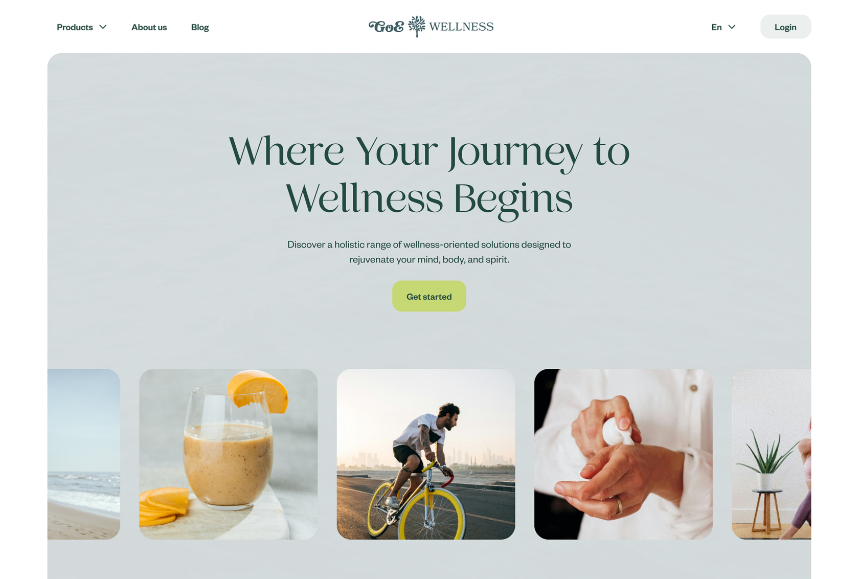 WellWorks Studio - Branding, Web Design & Marketing For Ecommerce And ...