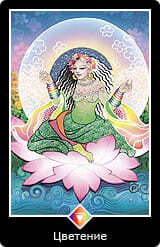 0.Старший аркан⦁— Дурак