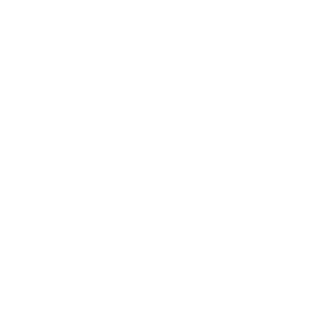 website icon