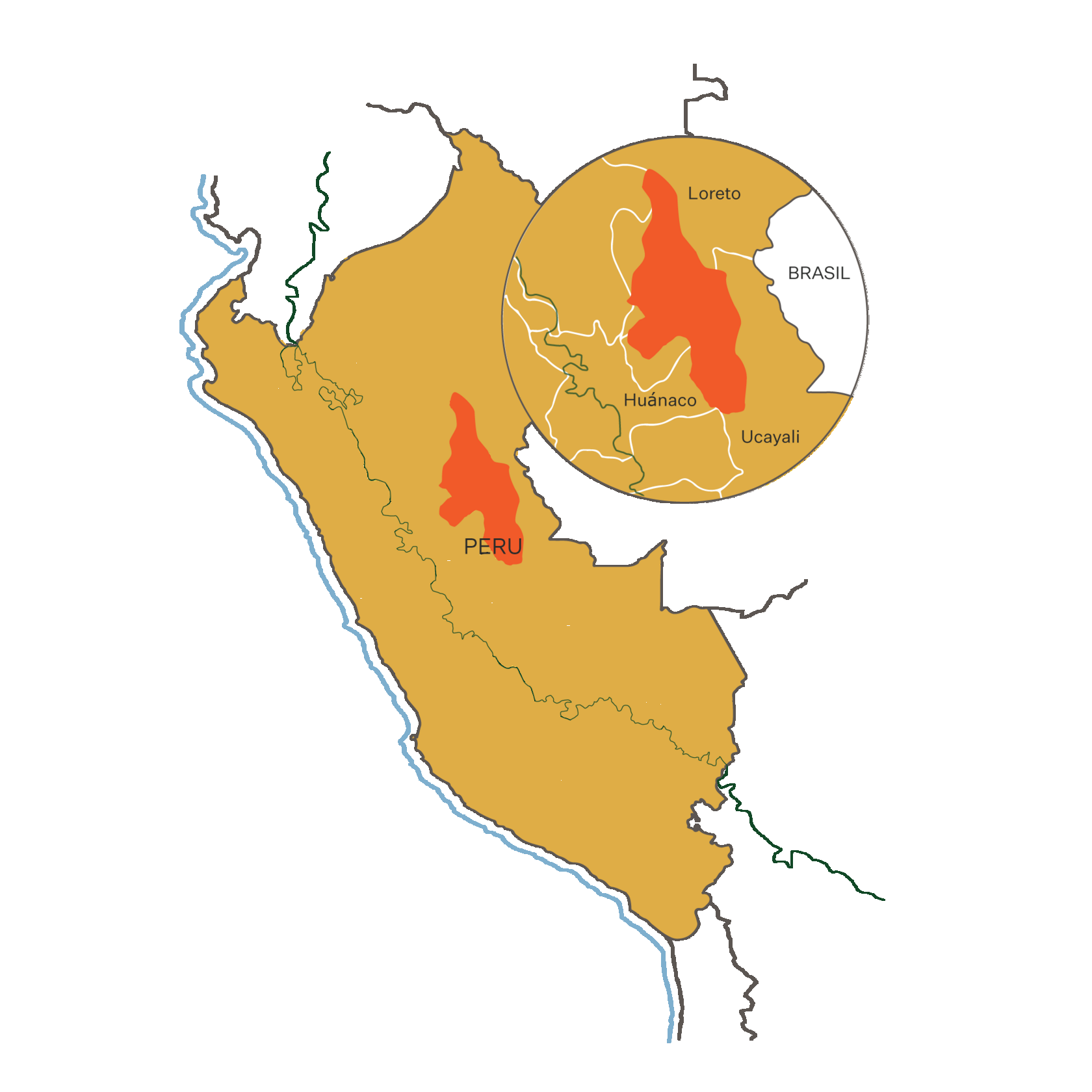 Shipibo Culture Ayahuasca Tradition, Art, and Spiritual Heritage