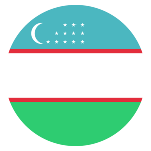 website icon