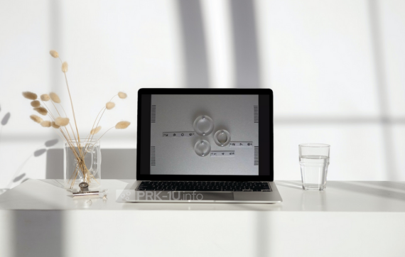 PRK-1U device remote access