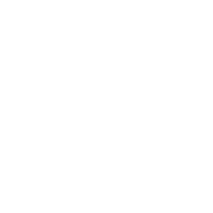 website icon