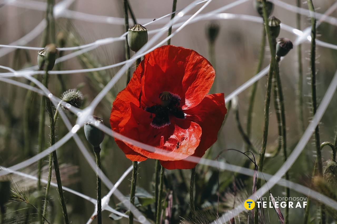 Довідковий центр архіву