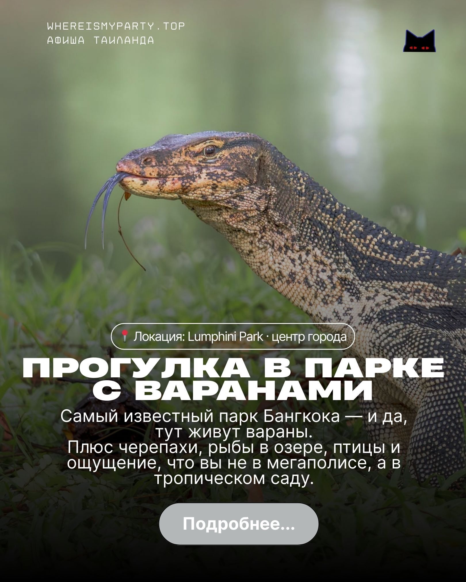 Обзор прогулки в парке с варанами в Бангкоке