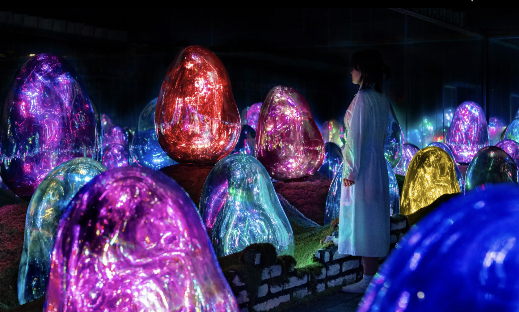 TeamLab Planets Tokyo