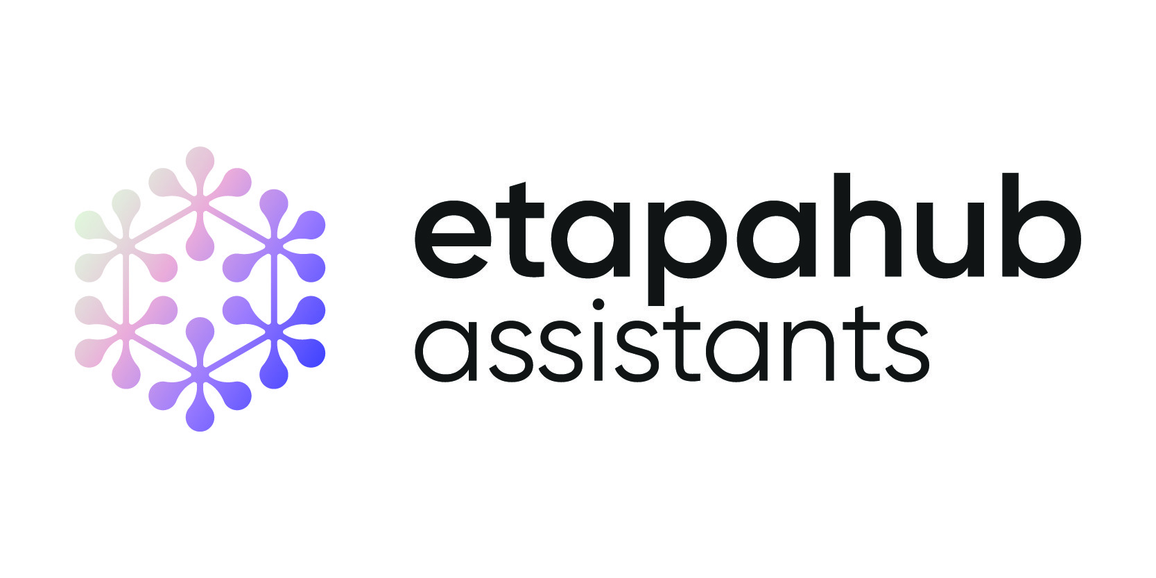 Etapa Assistants