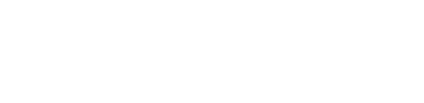 Algorithmics