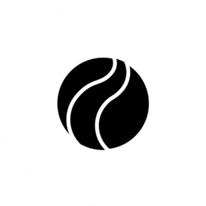website icon
