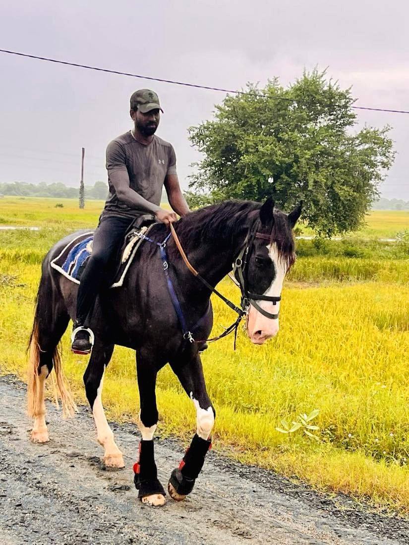 Rider working quietly with a black horse at Vonfidel Ranch in Sri Lanka