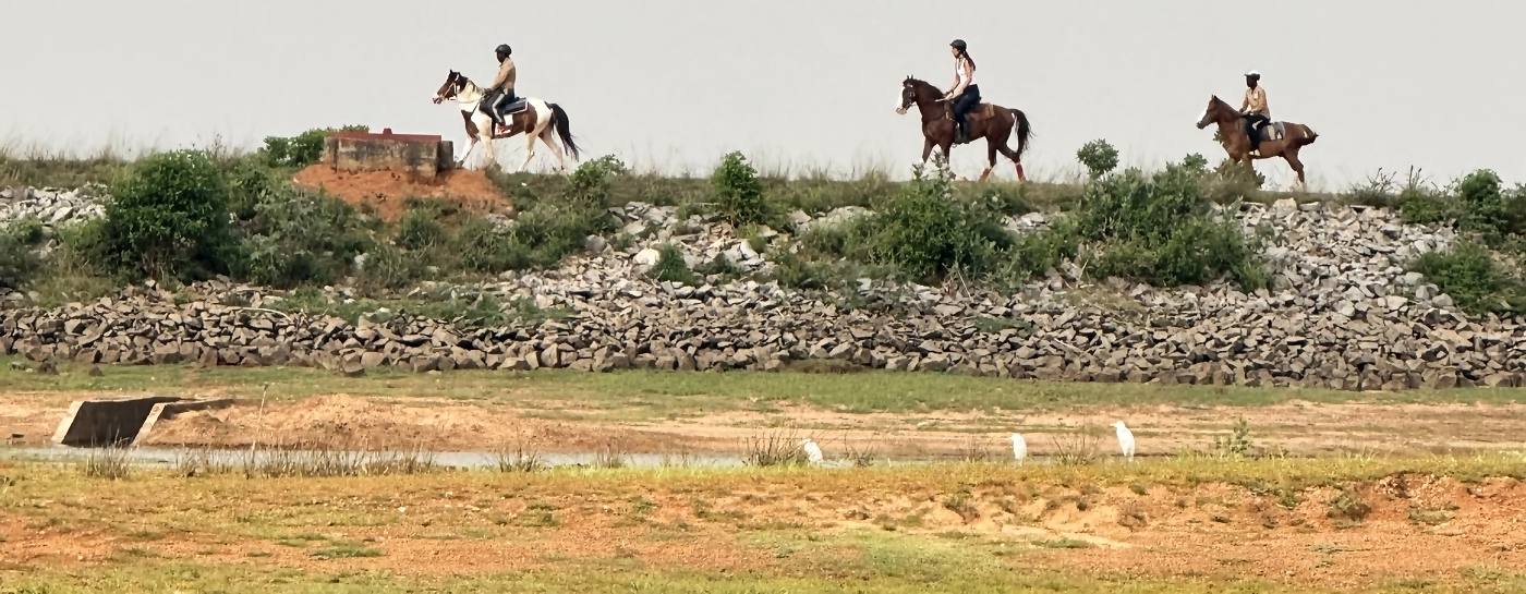 Three riders strung out along the tank bund at Punanai, egrets on the flats below.