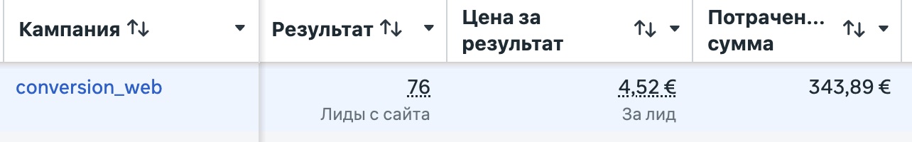 Рекламный кабинет Meta Ads: кампания conversion_web, 76 лидов с сайта, 4,52 € за лид, потрачено 343,89 €
