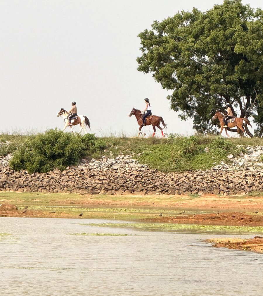 Three riders strung out along the tank bund at Punanai, water below and a mara tree behind.