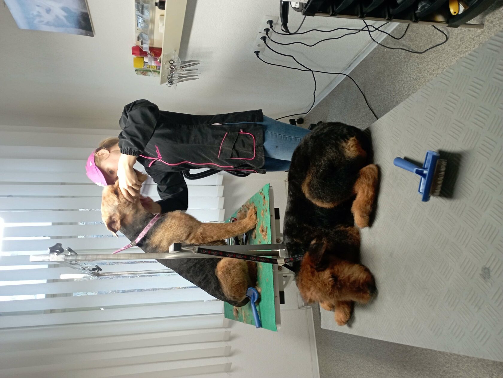 Salon za šišanje pasa, kupanje pasa, izlinjavanje pasa,Gospić