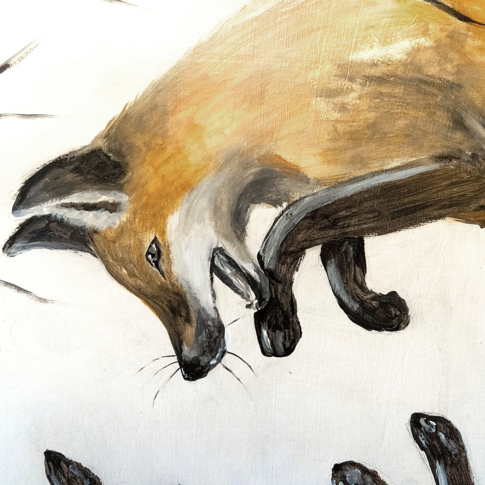 Fuchs im Detail