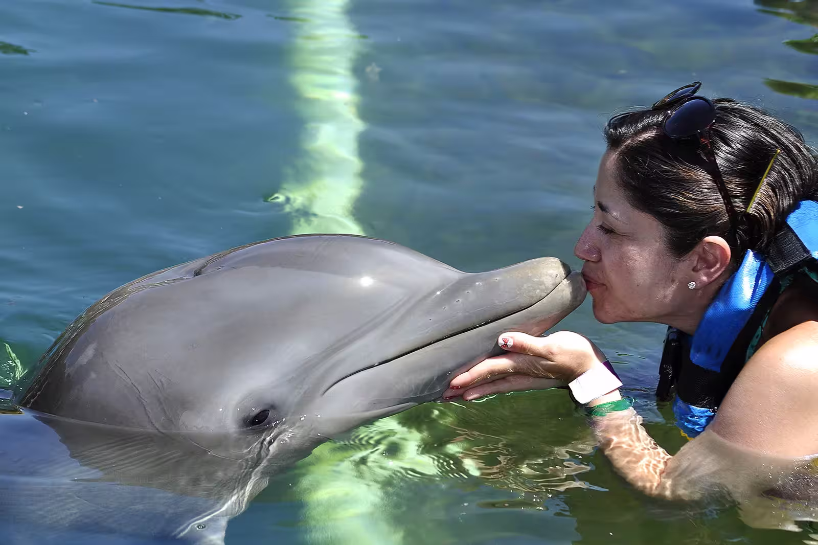 Roatan Dolphin Meet and Kiss with Atv Buggy Adventure & Monkey Sloths hangout
