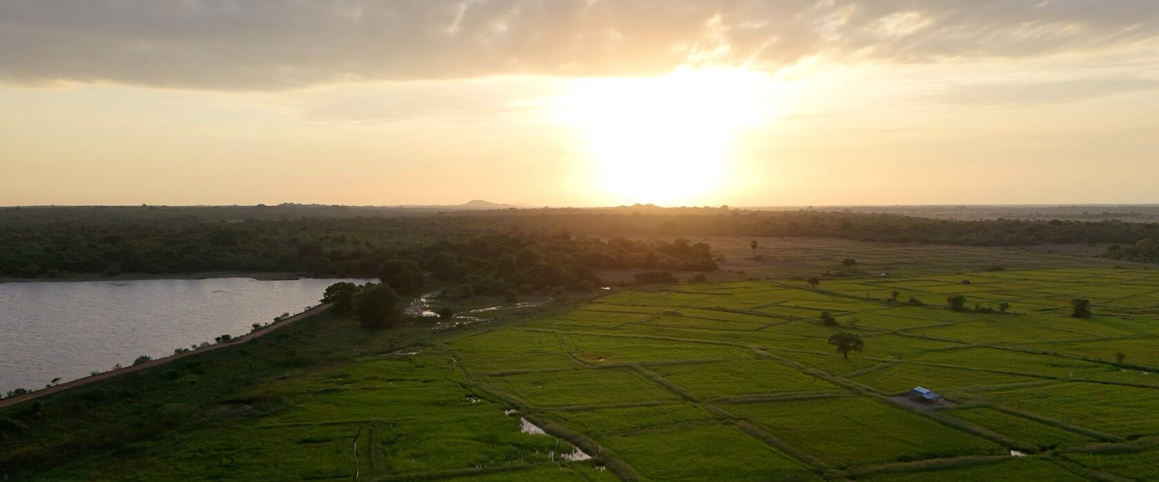 Paddy land and an irrigation tank at sunset in Punanai, eastern Sri Lanka.
