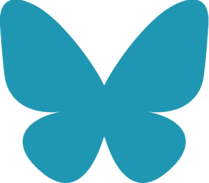 website icon