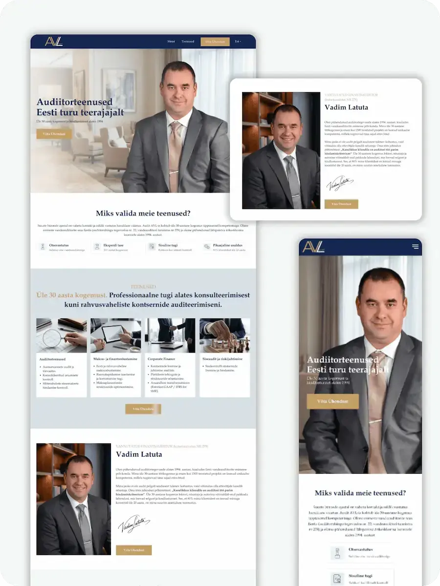 Corporate website development for a European financial auditor: a case study.