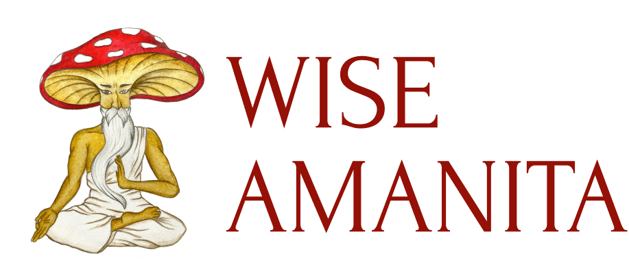 wise-amanita