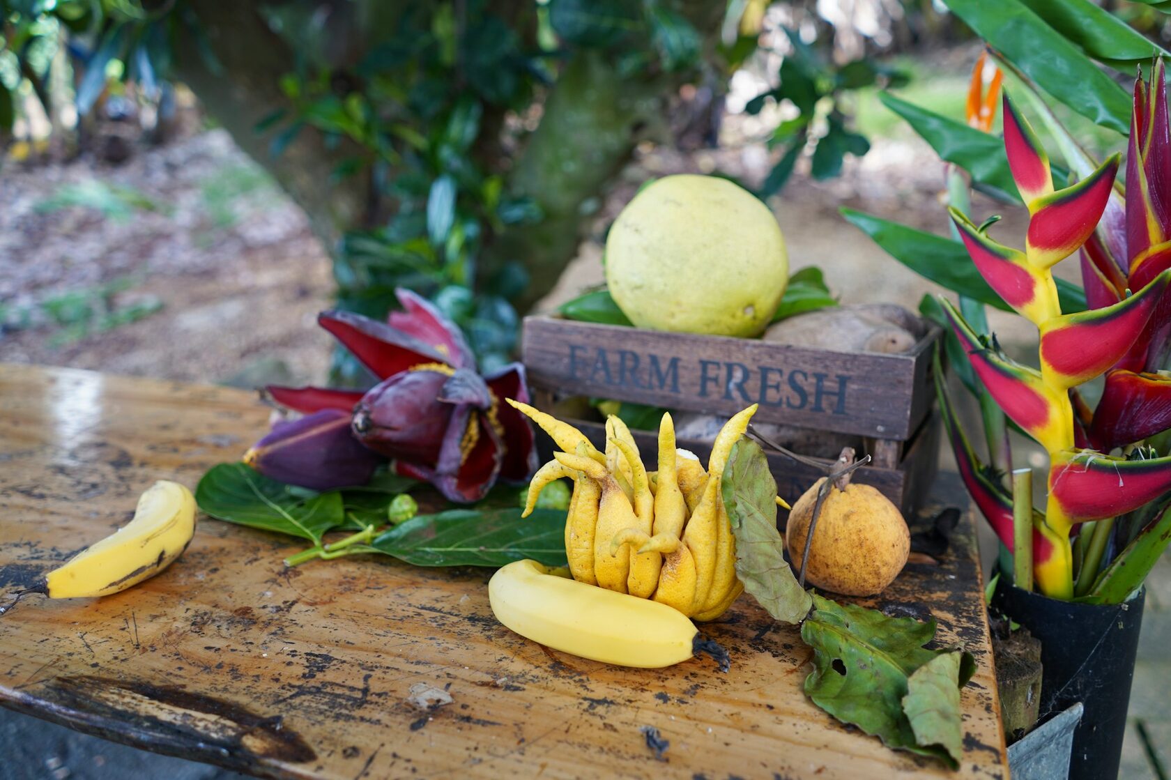 Caja de frutas frescas con palta, uvas, mango y frutillas sobre mesa de madera
