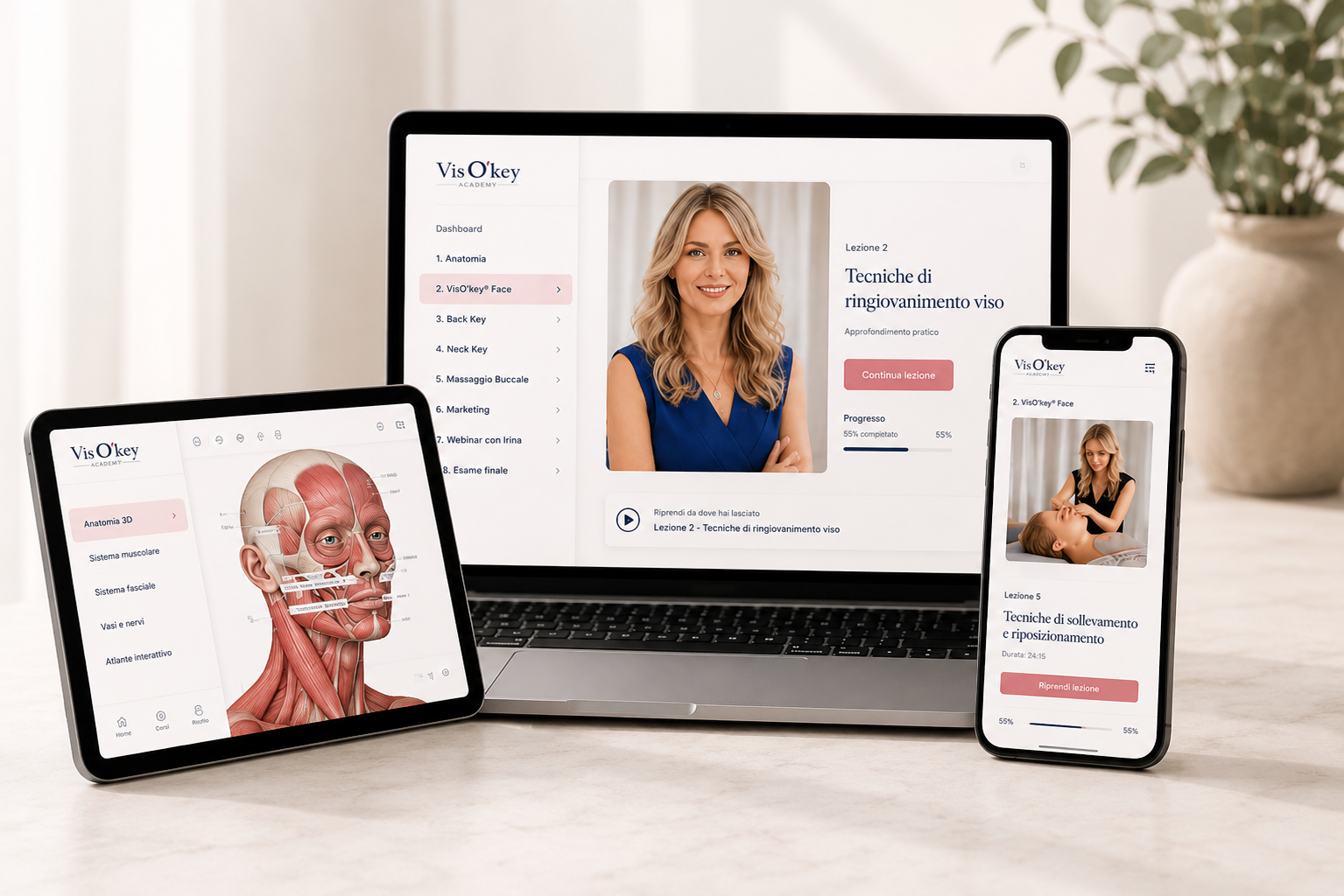 Piattaforma online VisO’key