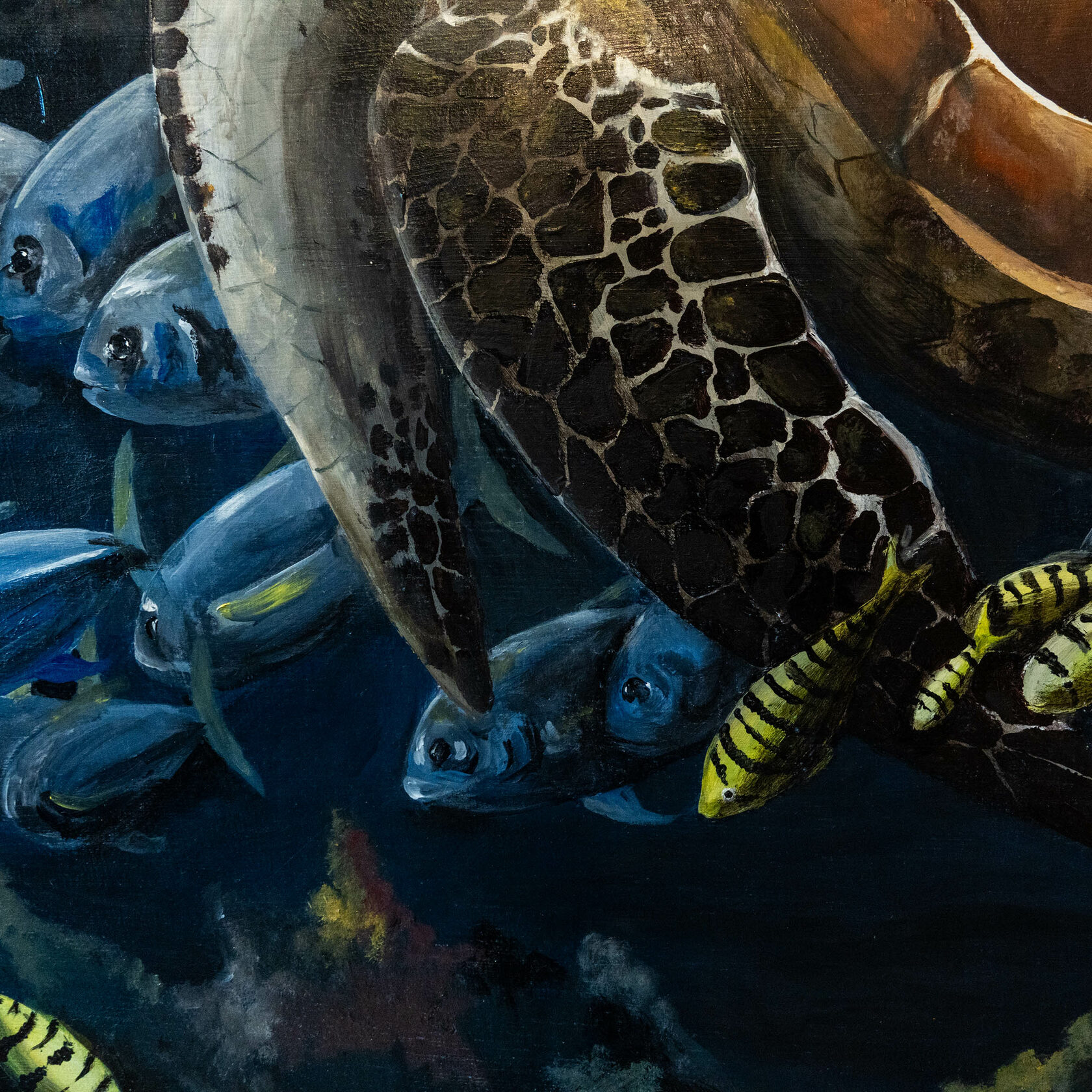 Meeresschildkröte Details