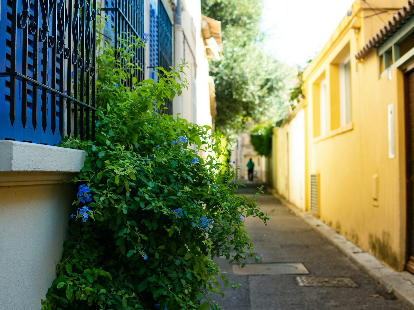 Antibes Harbour Apartments