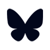 website icon