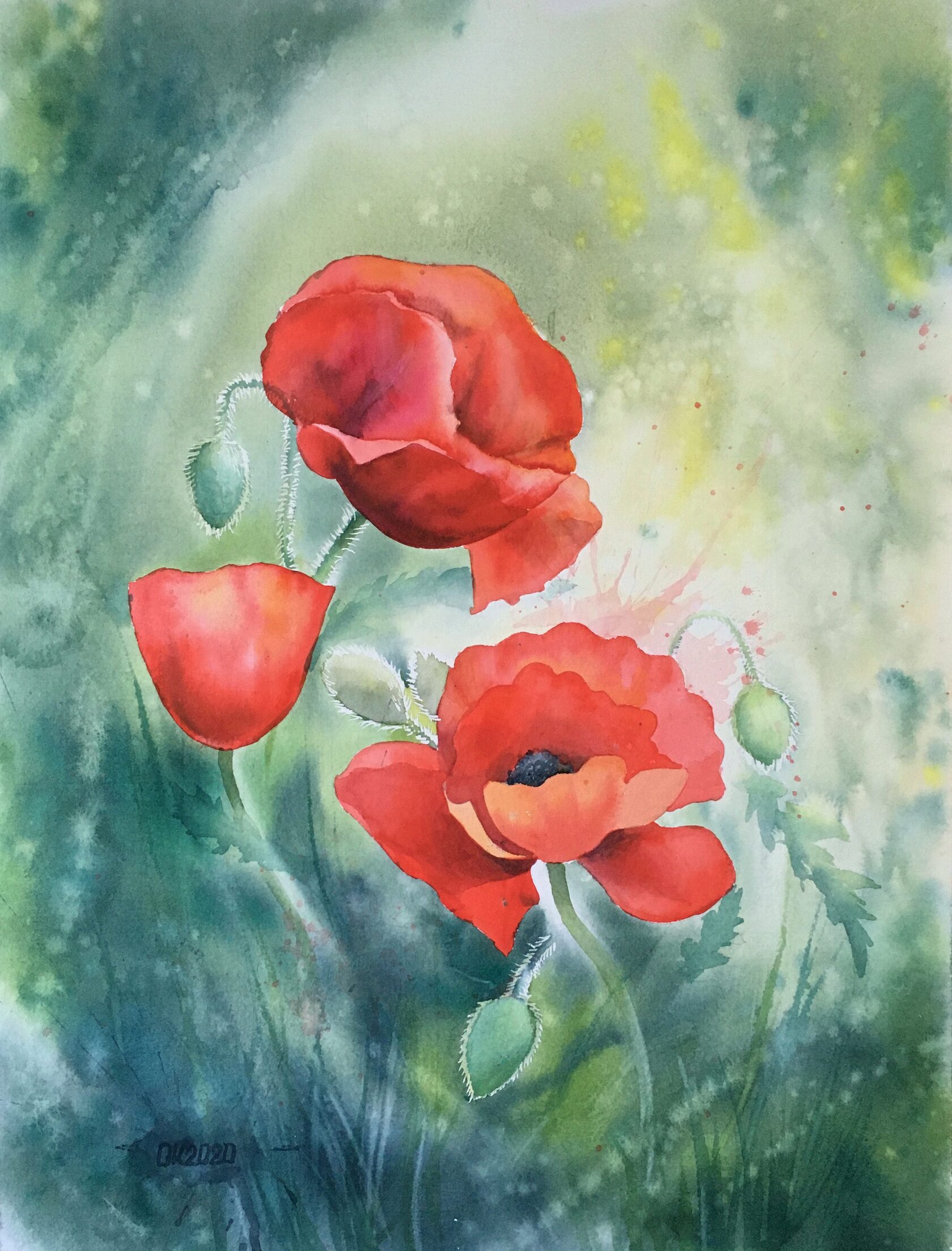Poppy Flower Painting