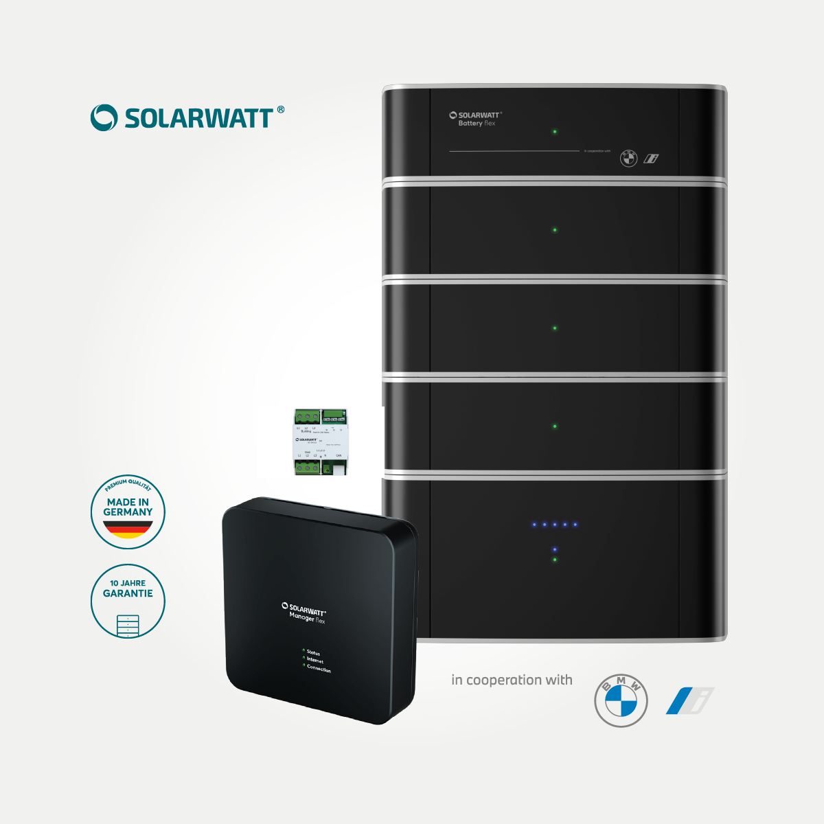 Solarwatt Manager &amp; Battery flex Paket