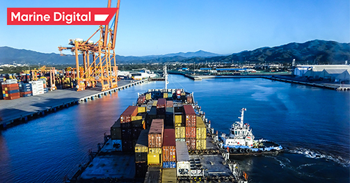 24. Customs inspection at the transshipment port