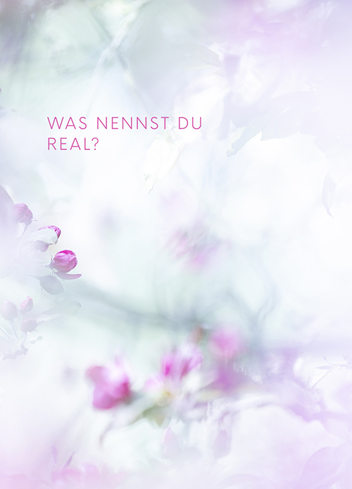 Q no A Postkarte mit Blüten in Rosa und Rot – Fotokunst mit Reflexionsfrage