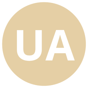 website icon