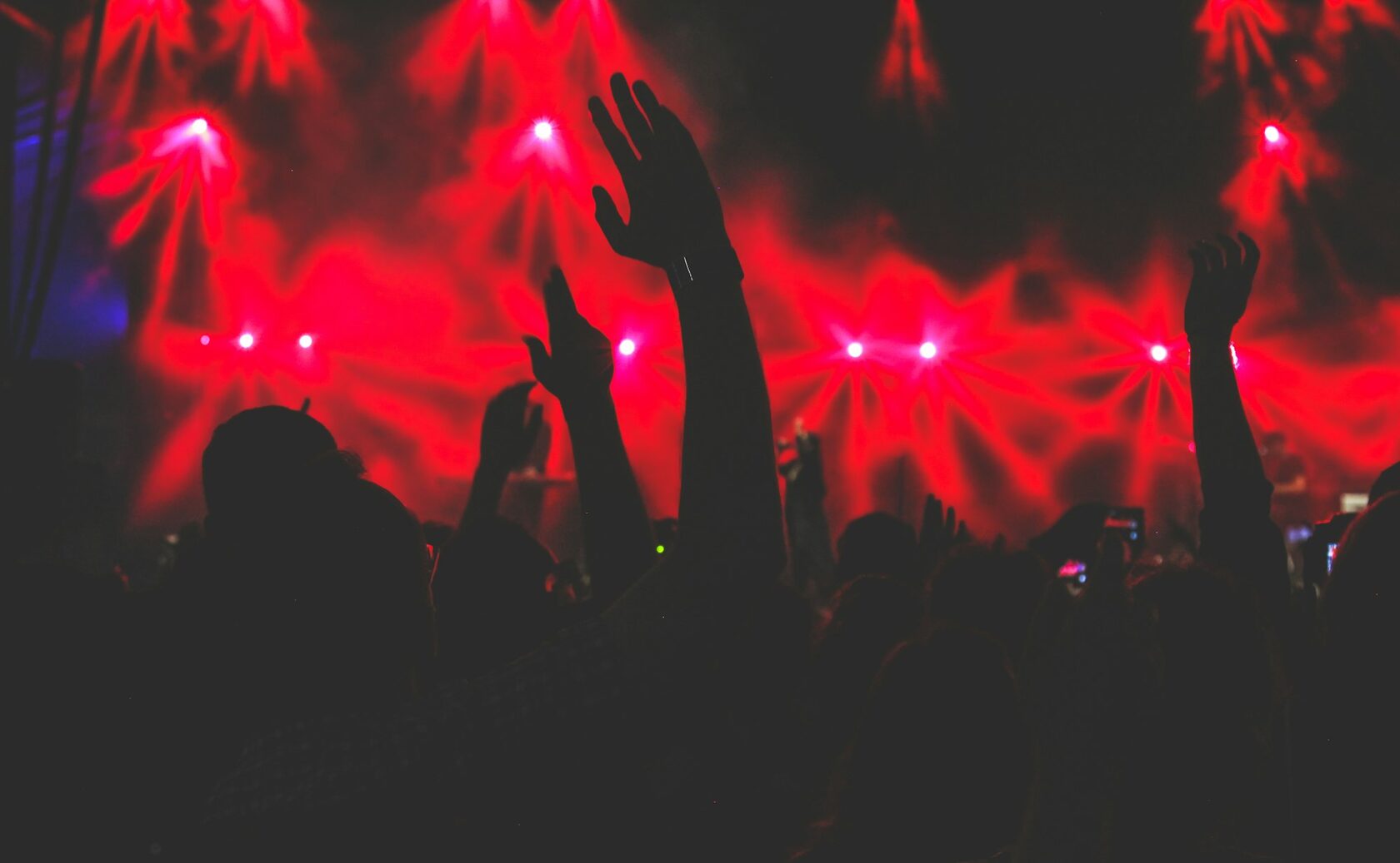 Concert crowd