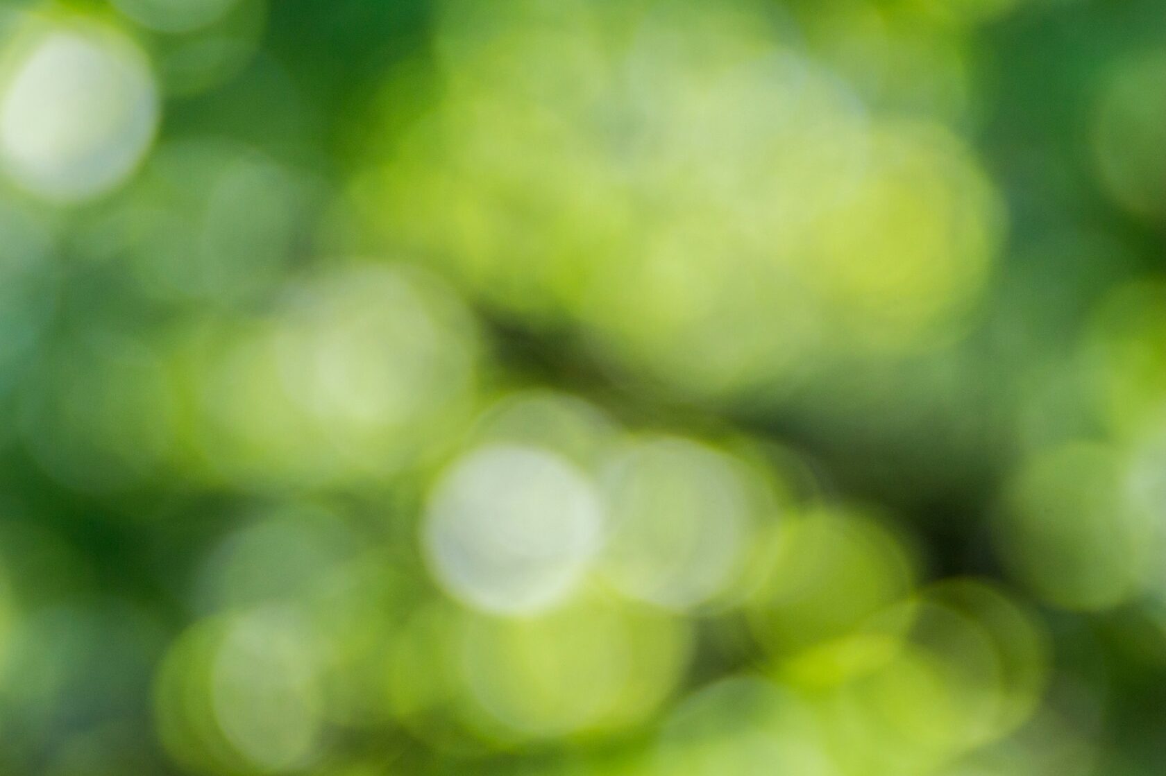 No Greenwashing — trust through accuracy
