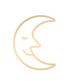 Dragons wall calendar 2024