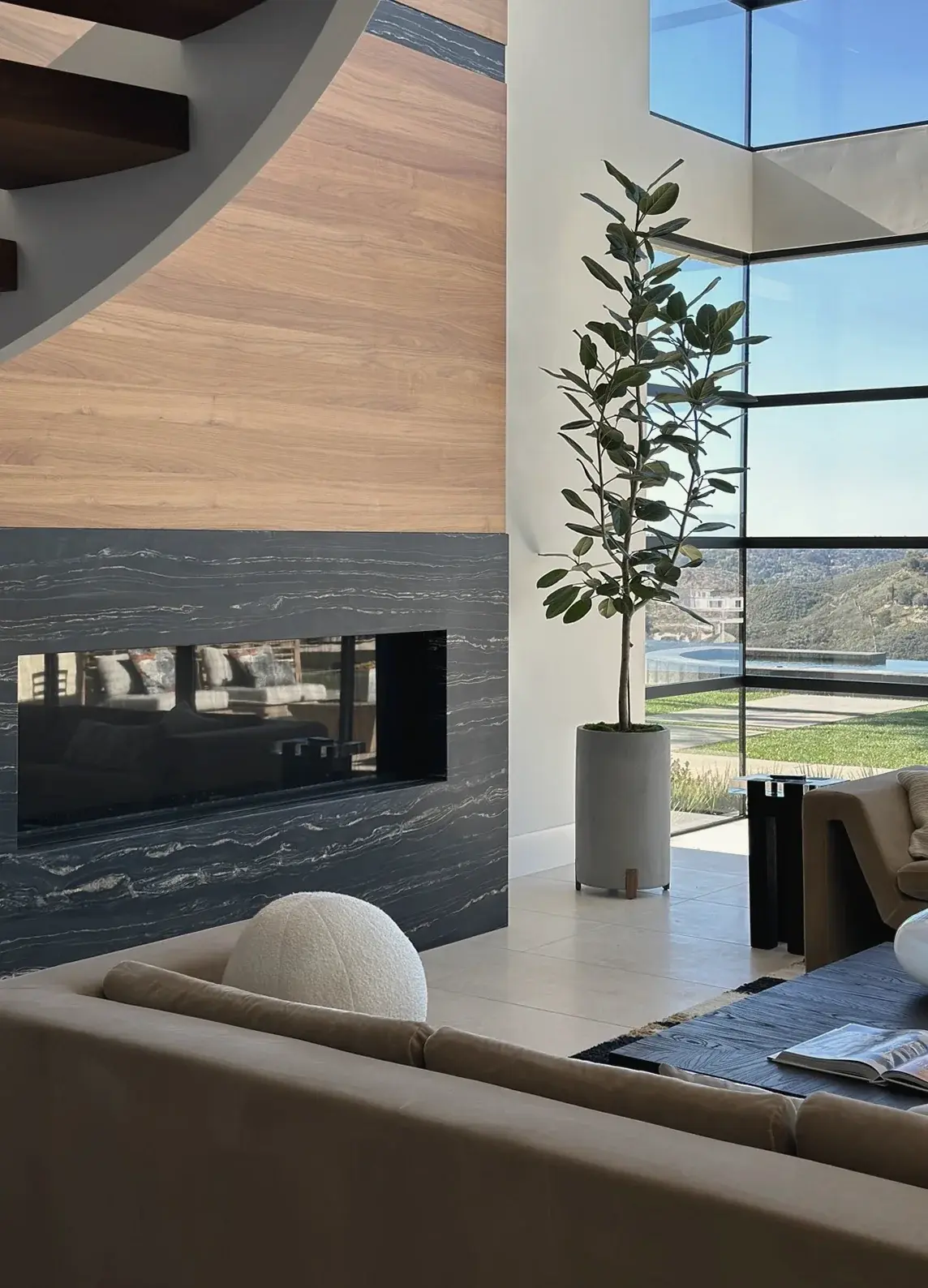 Tall rubber plant beside a floating fireplace in a glass-walled living room