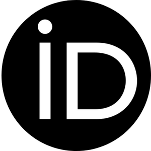 website icon