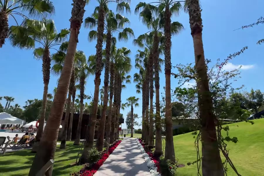 Пальмова алея до пляжу — Papillon Zeugma Relaxury