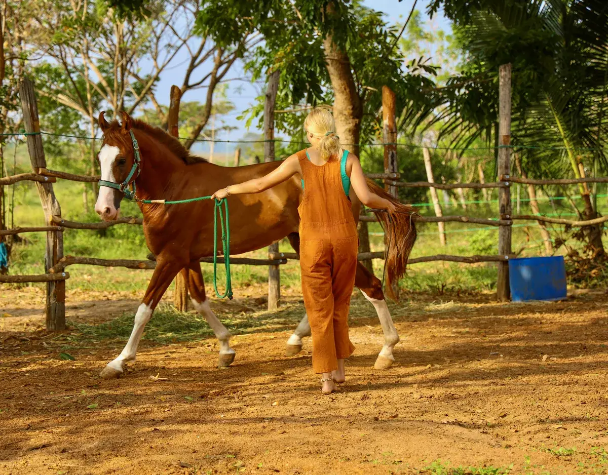 Groundwork with a chestnut horse in the round pen at Vonfidel Ranch.