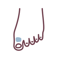 Spot / fingers / toes — laser hair removal area shown in blue
