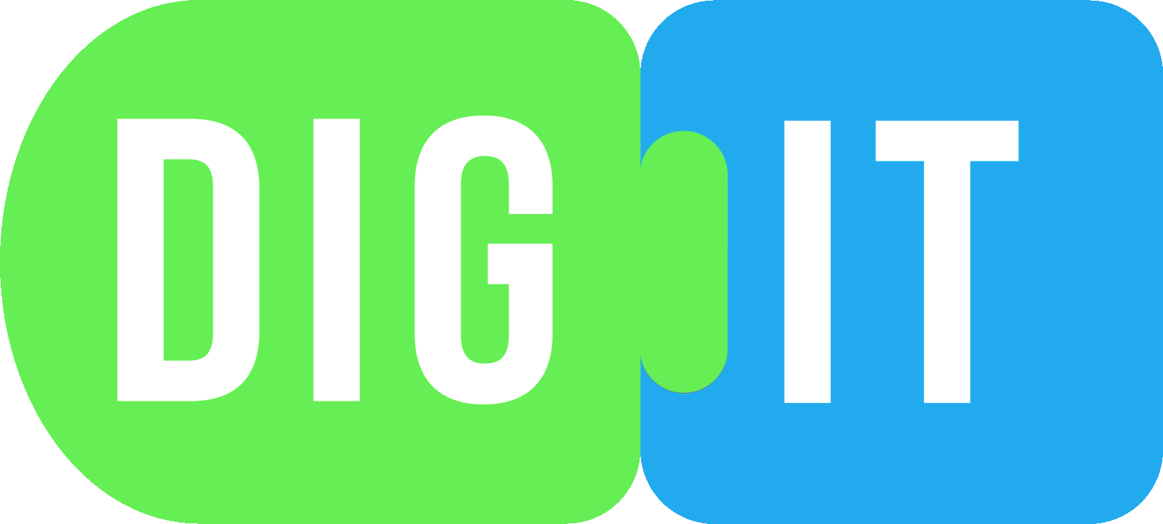 DIGIT SCHOOL