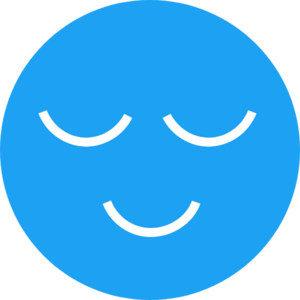 website icon