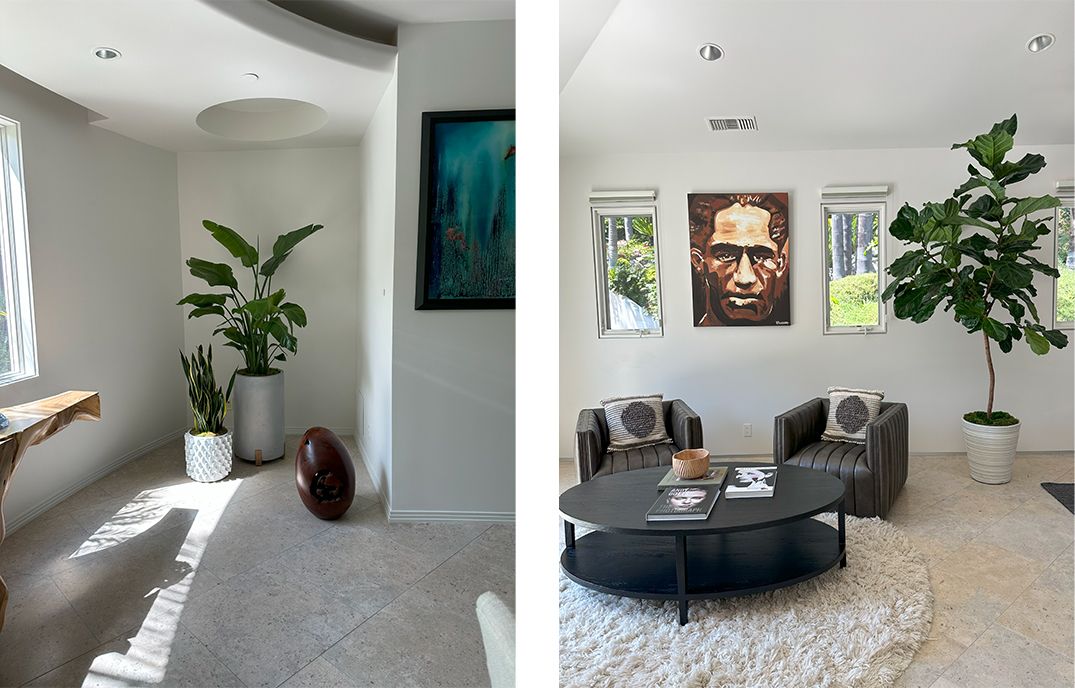 Indoor plants in a private home in Del Mar