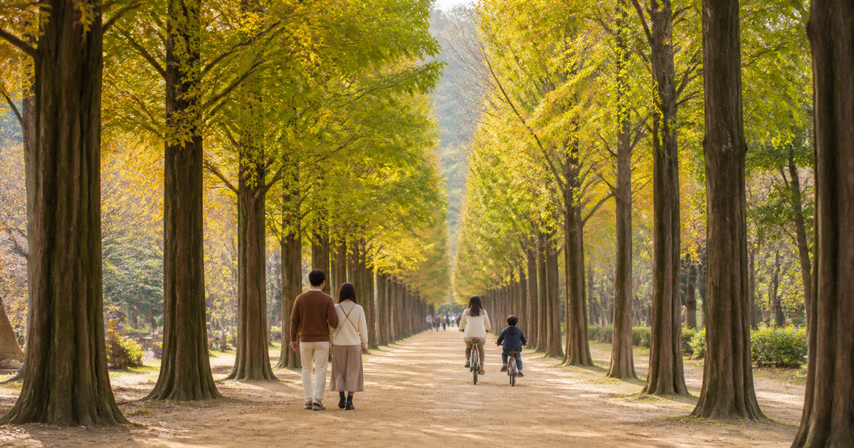 Tree-lined path on Nami Island